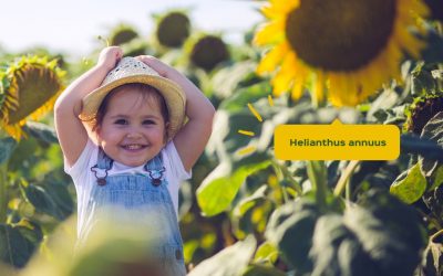 Protection Solaire : Comment protéger votre bébé du soleil ?