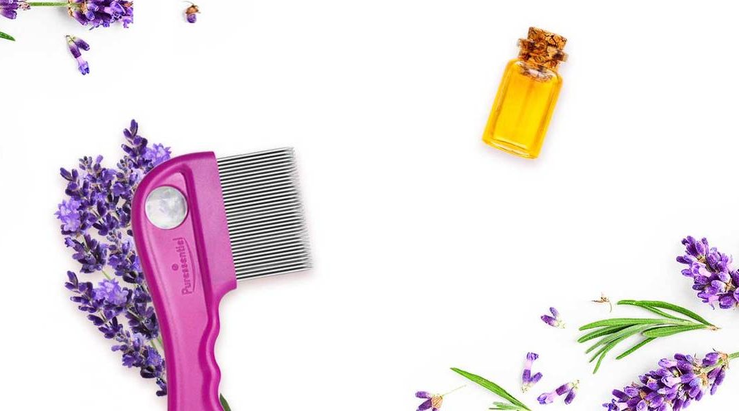 Comment se débarrasser des poux naturellement et efficacement grâce aux huiles essentielles ?