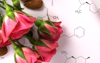 Qu’est-ce qu’une huile végétale ?